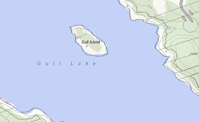 Topographical Map of Gull Island Island on Gull Lake