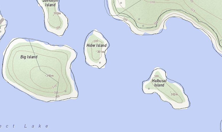 Topographical Map of Hider Island Island on Prospect Lake