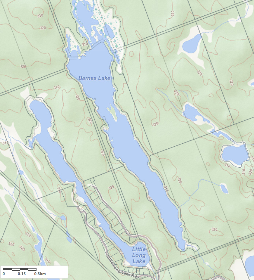 Topographical Map of Barnes Lake in Municipality of Muskoka Lakes and the District of Muskoka