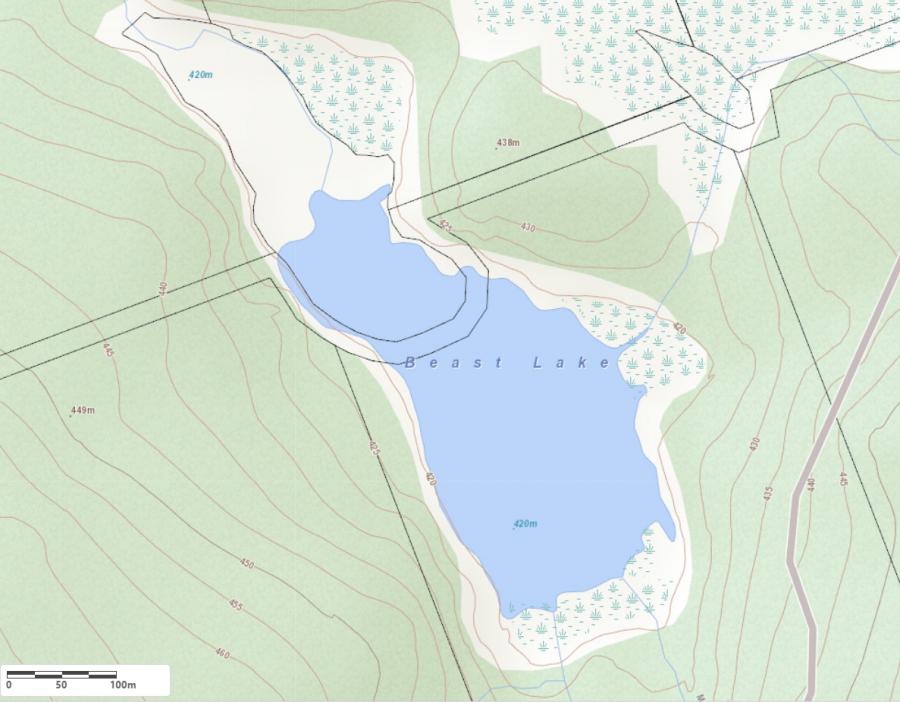 Topographical Map of Beast Lake in Municipality of Algonquin Highlands and the District of Haliburton