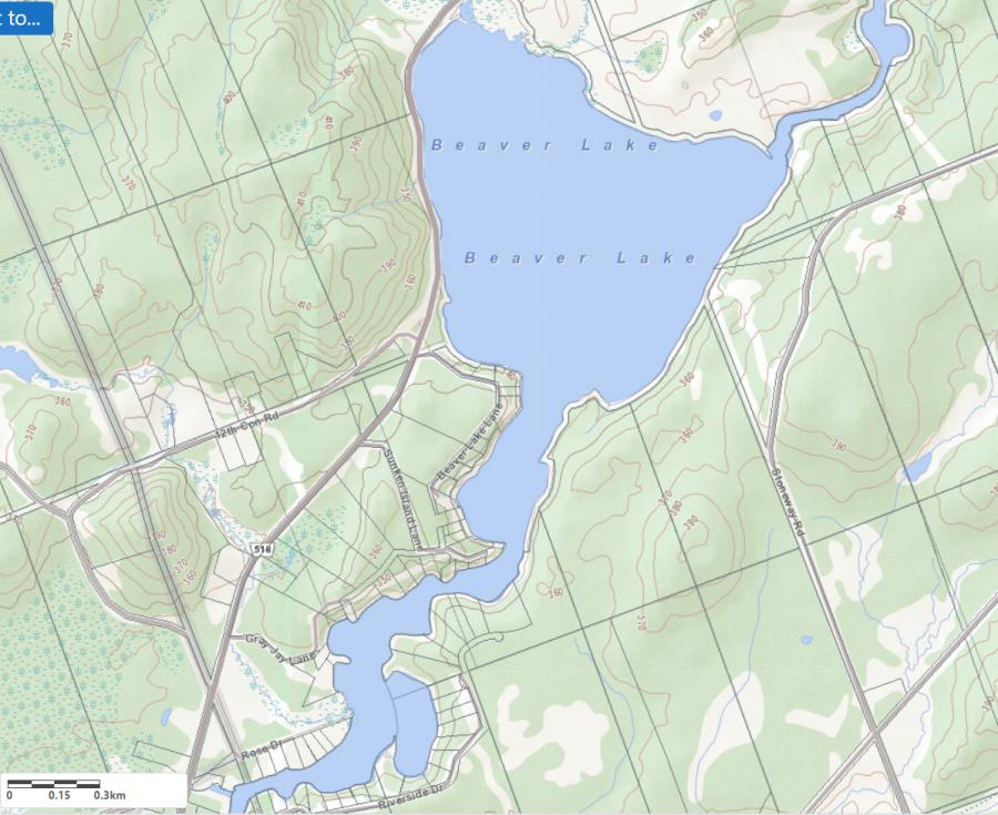 Topographical Map of Beaver Lake in Municipality of Magnetawan and the District of Parry Sound