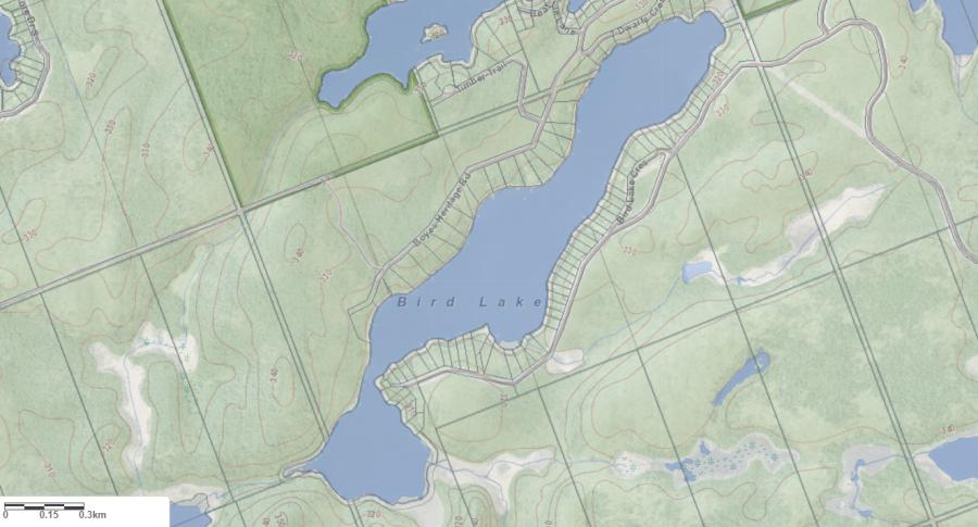 Topographical Map of Bird Lake in Municipality of Bracebridge and the District of Muskoka