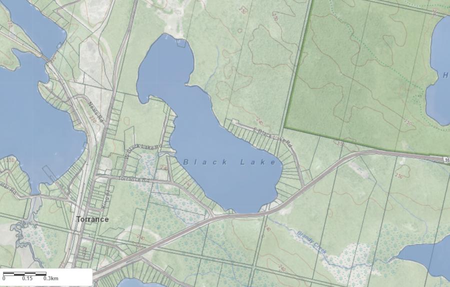 Topographical Map of Black Lake in Municipality of Muskoka Lakes and the District of Muskoka