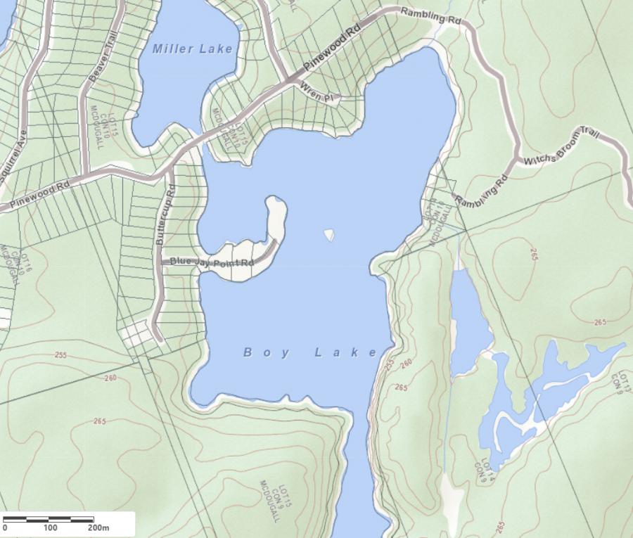 Topographical Map of Boy Lake in Municipality of McDougall and the District of Parry Sound