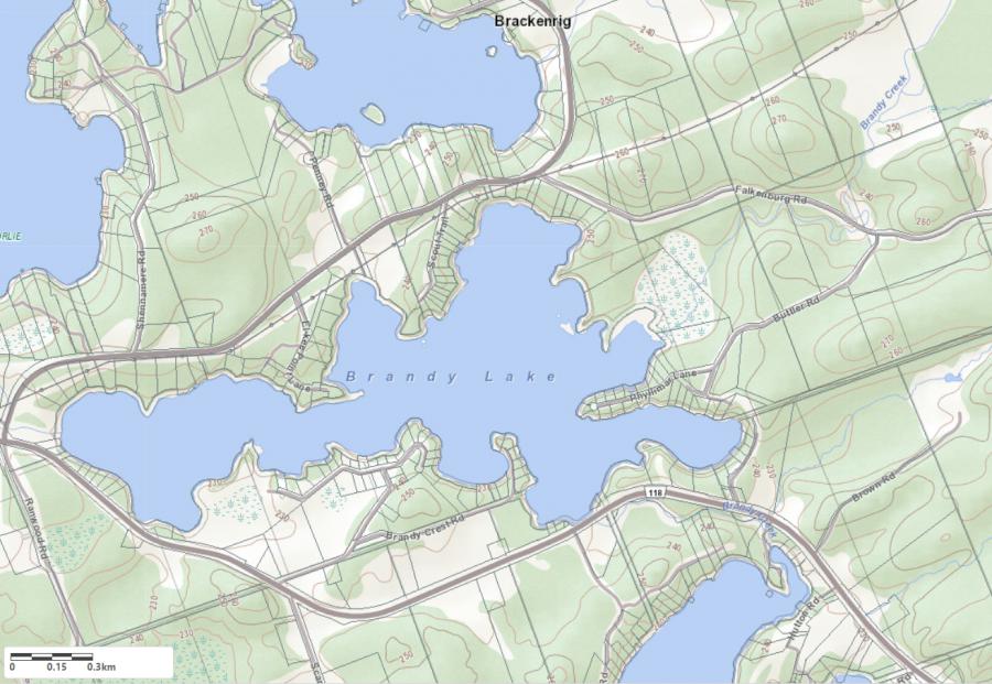 Topographical Map of Brandy Lake in Municipality of Muskoka Lakes and the District of Muskoka