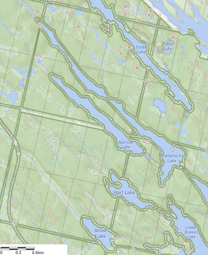Topographical Map of Brothersons Lake in Municipality of Muskoka Lakes and the District of Muskoka