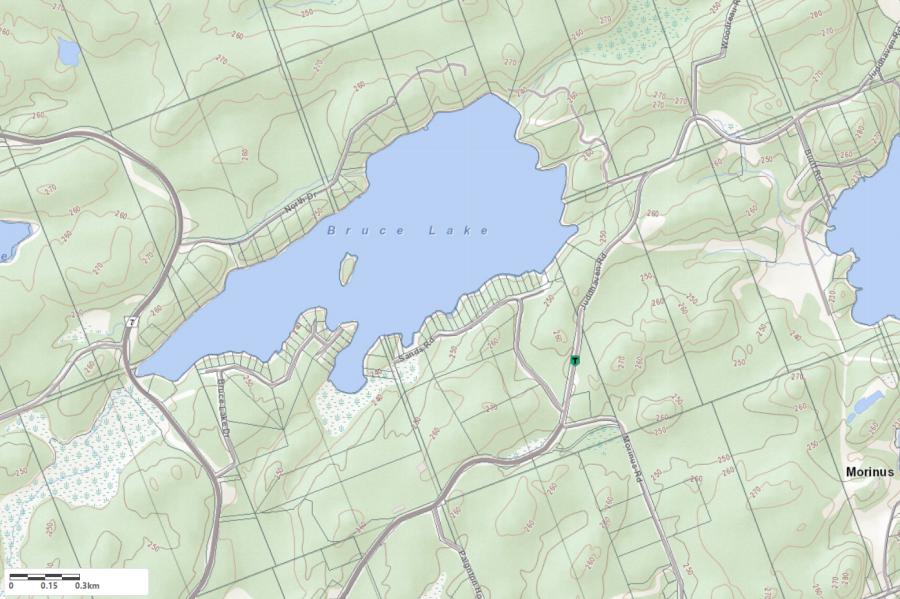 Topographical Map of Bruce Lake in Municipality of Muskoka Lakes and the District of Muskoka