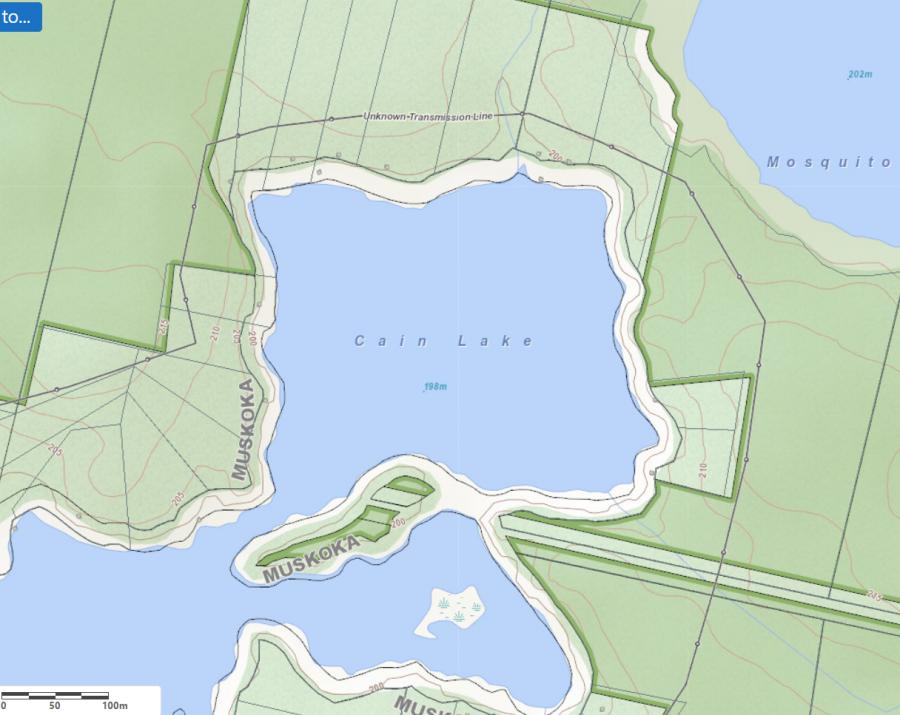 Topographical Map of Cain Lake in Municipality of Muskoka Lakes and the District of Muskoka