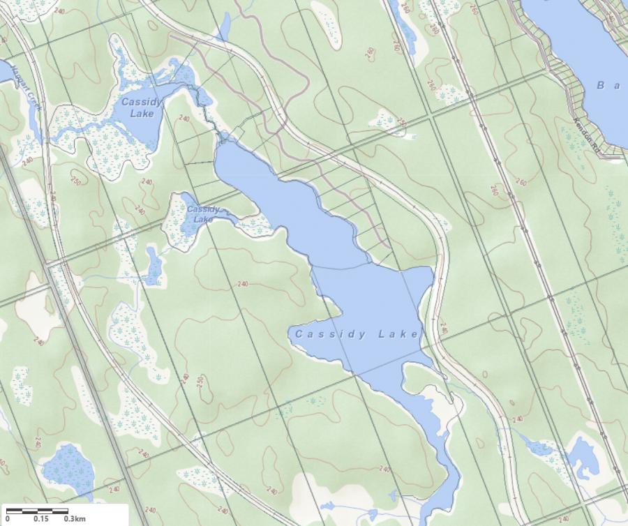 Topographical Map of Cassidy Lake in Municipality of Muskoka Lakes and the District of Muskoka