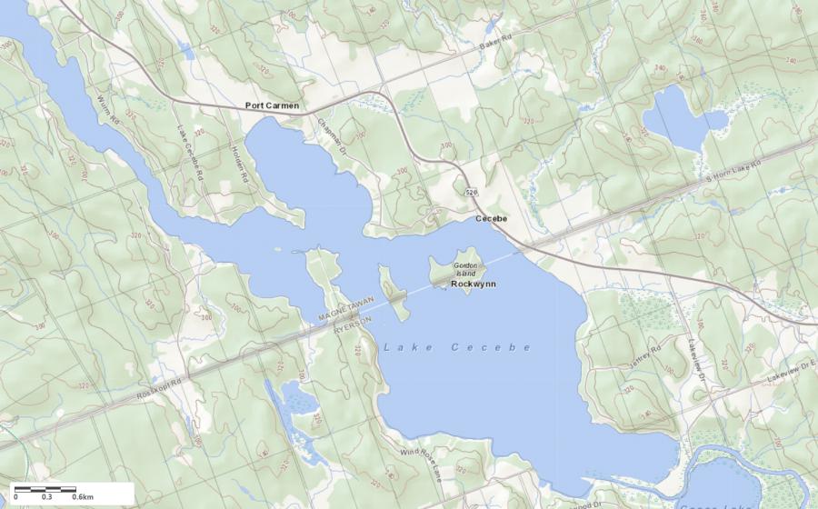 Topographical Map of Cecebe Lake in Municipality of Magnetawan and the District of Parry Sound