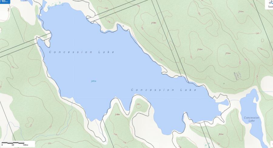 Topographical Map of Concession Lake in Municipality of Muskoka Lakes and the District of Muskoka