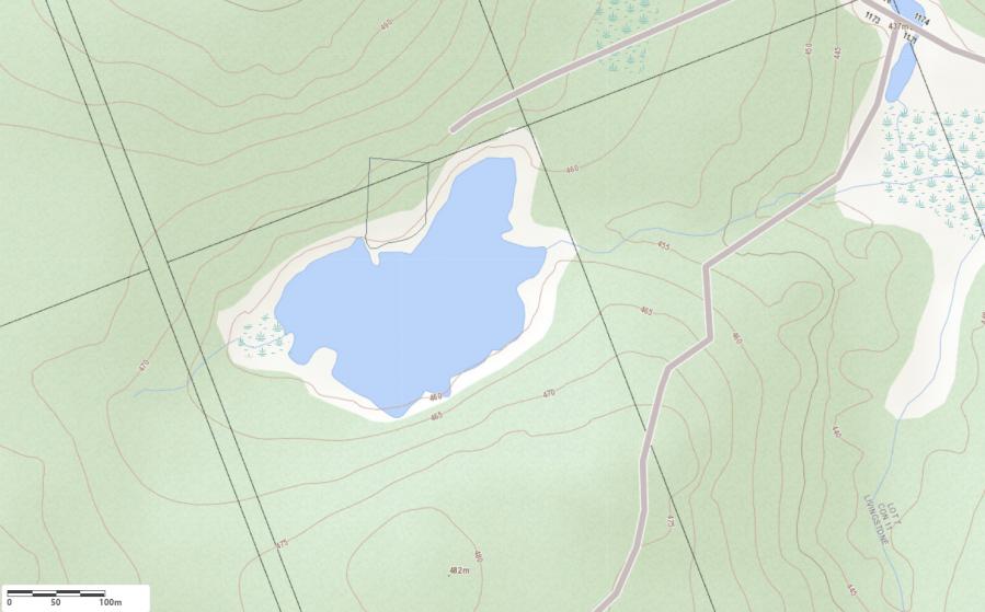 Topographical Map of Crane Lake in Municipality of Algonquin Highlands and the District of Haliburton