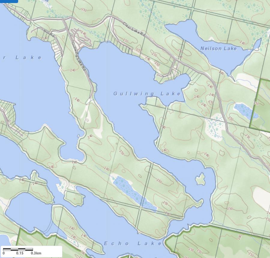 Topographical Map of Gullwing Lake in Municipality of Muskoka Lakes and the District of Muskoka
