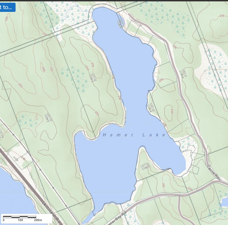 Topographical Map of Hamer Lake in Municipality of Seguin and the District of Parry Sound