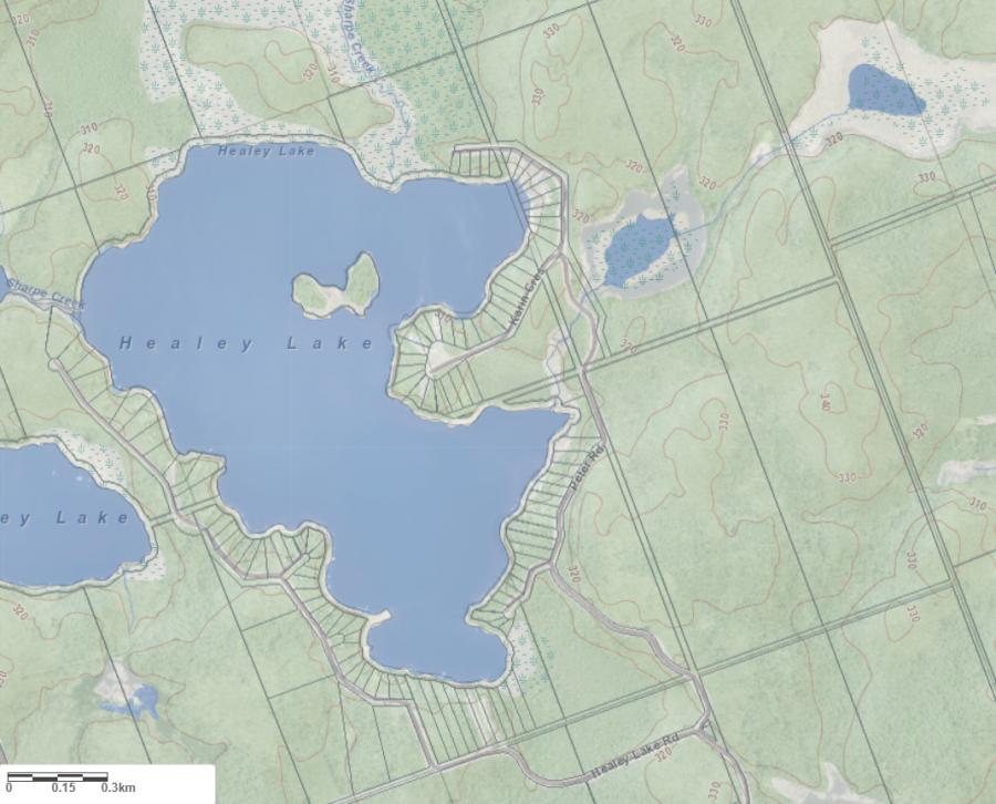 Topographical Map of Healey Lake in Municipality of Bracebridge and the District of Muskoka