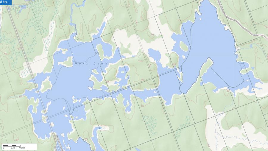 Topographical Map of Horn Lake in Municipality of Seguin and the District of Parry Sound
