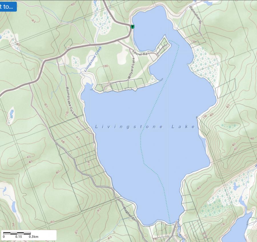 Topographical Map of Livingstone Lake in Municipality of Algonquin Highlands and the District of Haliburton