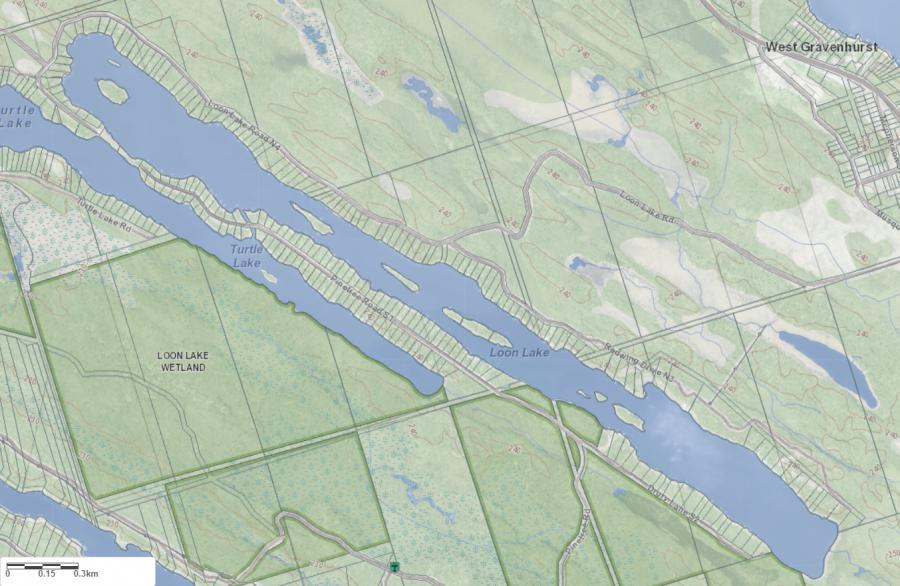 Topographical Map of Loon Lake in Municipality of Gravenhurst and the District of Muskoka