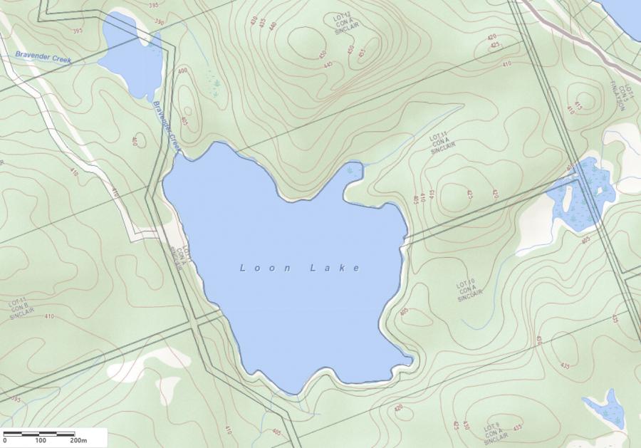 Topographical Map of Loon Lake in Municipality of Lake of Bays and the District of Muskoka