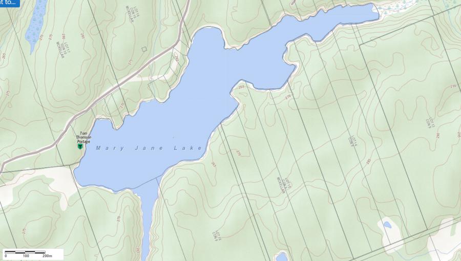 Topographical Map of Mary Jane Lake in Municipality of McKellar and the District of Parry Sound