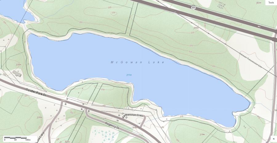 Topographical Map of McGowan Lake in Municipality of Seguin and the District of Parry Sound