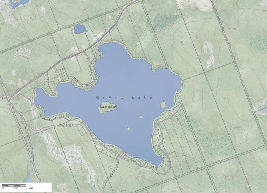 Topographical Map of McKay Lake in Municipality of Bracebridge and the District of Muskoka