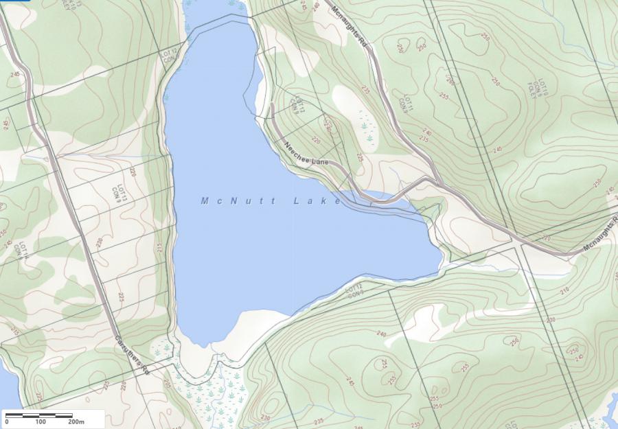 Topographical Map of McNutt Lake in Municipality of Seguin and the District of Parry Sound