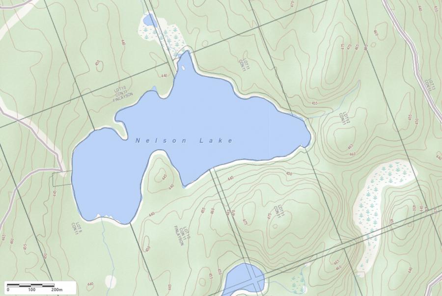 Topographical Map of Nelson Lake in Municipality of Lake of Bays and the District of Muskoka