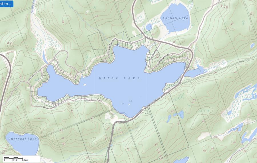 Topographical Map of Otter Lake in Municipality of Algonquin Highlands and the District of Haliburton