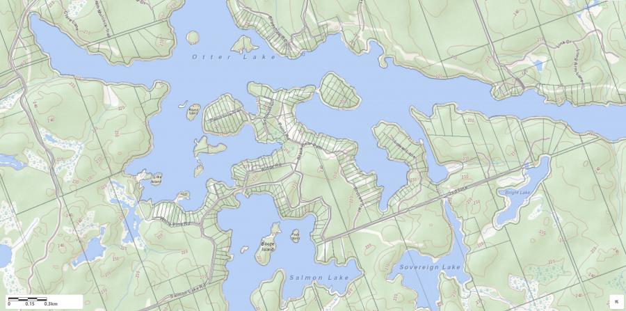 Topographical Map of Otter Lake in Municipality of Seguin and the District of Parry Sound