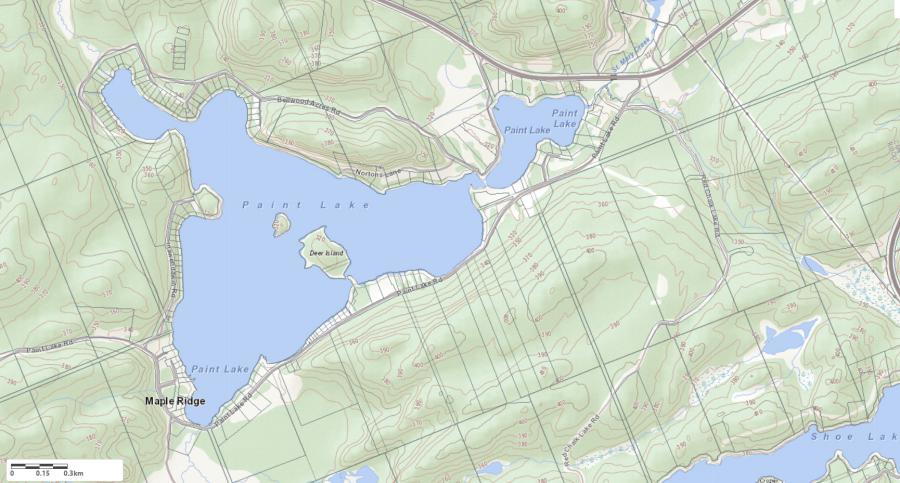 Topographical Map of Paint Lake in Municipality of Lake of Bays and the District of Muskoka