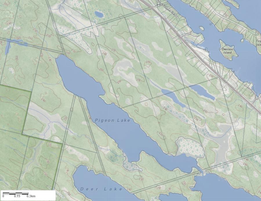 Topographical Map of Pigeon Lake in Municipality of Gravenhurst and the District of Muskoka