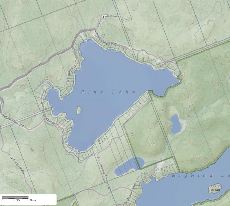 Topographical Map of Pine Lake in Municipality of Bracebridge and the District of Muskoka