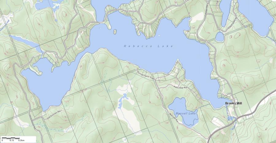 Topographical Map of Rebecca Lake in Municipality of Lake of Bays and the District of Muskoka