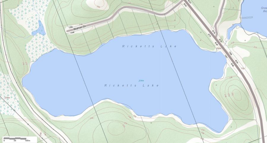 Topographical Map of Ricketts Lake in Municipality of Muskoka Lakes and the District of Muskoka