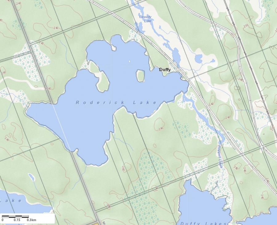 Topographical Map of Roderick Lake in Municipality of Muskoka Lakes and the District of Muskoka