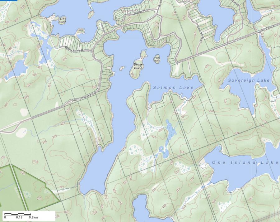 Topographical Map of Salmon Lake in Municipality of Seguin and the District of Parry Sound