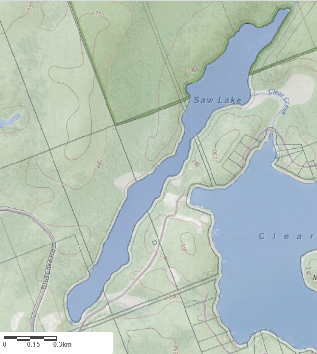 Topographical Map of Saw Lake in Municipality of Bracebridge and the District of Muskoka