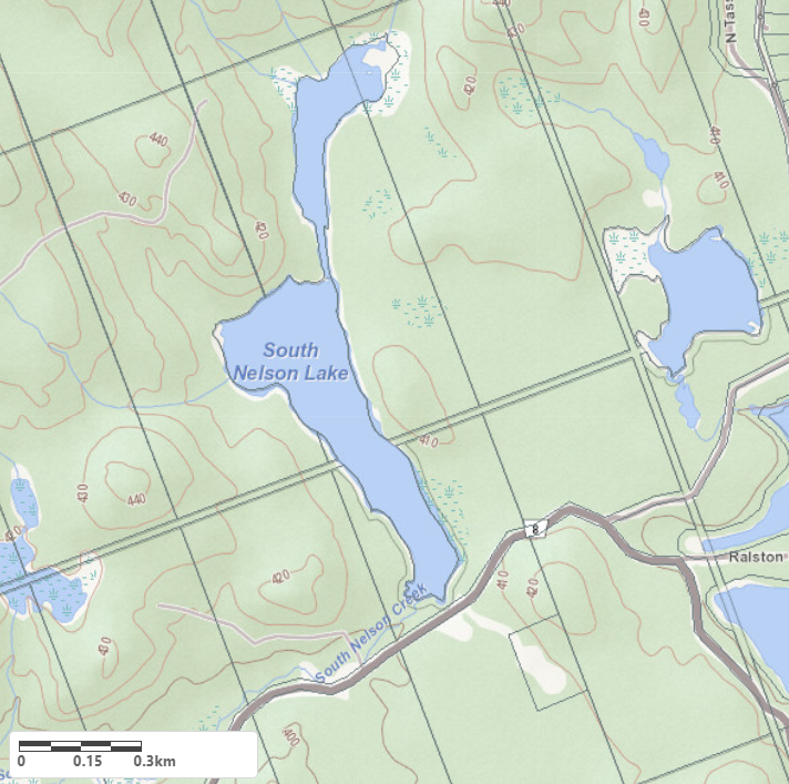 Topographical Map of South Nelson Lake in Municipality of Lake of Bays and the District of Muskoka