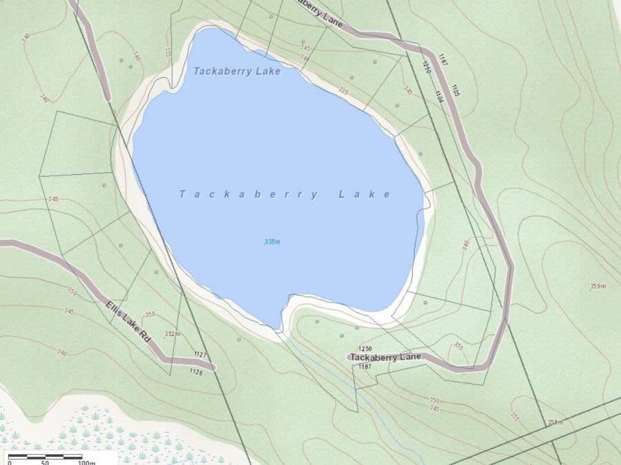 Topographical Map of Tackaberry Lake in Municipality of Lake of Bays and the District of Muskoka