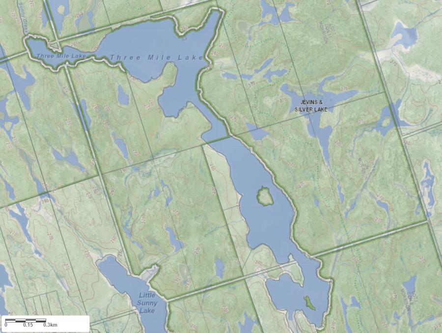 Topographical Map of Three Mile Lake in Municipality of Gravenhurst and the District of Muskoka