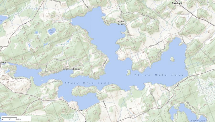 Topographical Map of Three Mile Lake in Municipality of Muskoka Lakes and the District of Muskoka