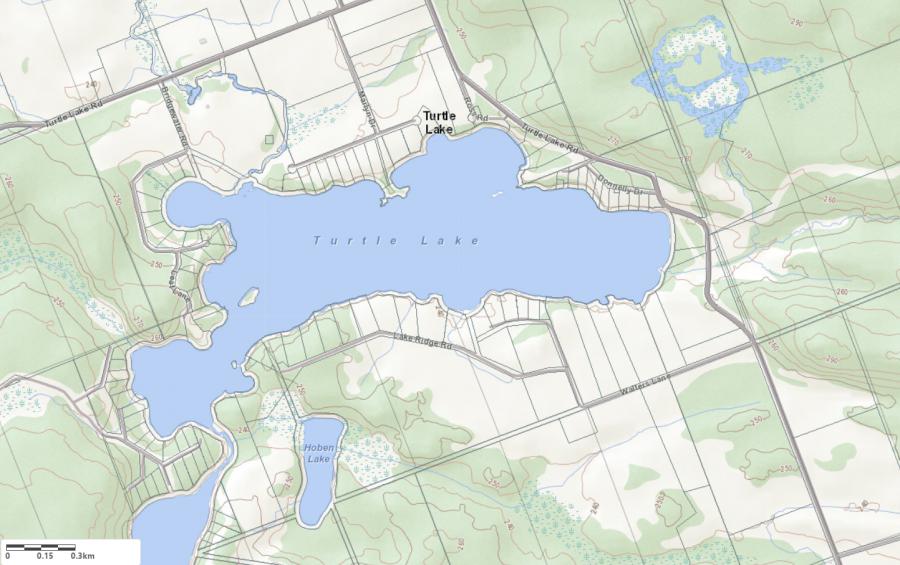 Topographical Map of Turtle Lake in Municipality of Seguin and the District of Parry Sound