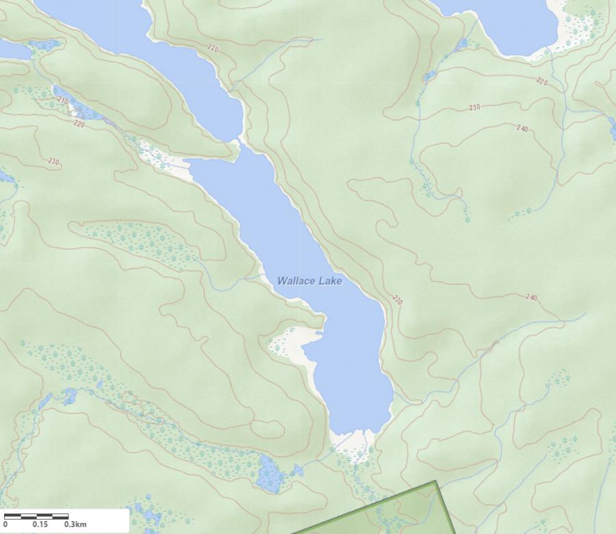 Topographical Map of Wallace Lake in Municipality of Whitestone and the District of Parry Sound