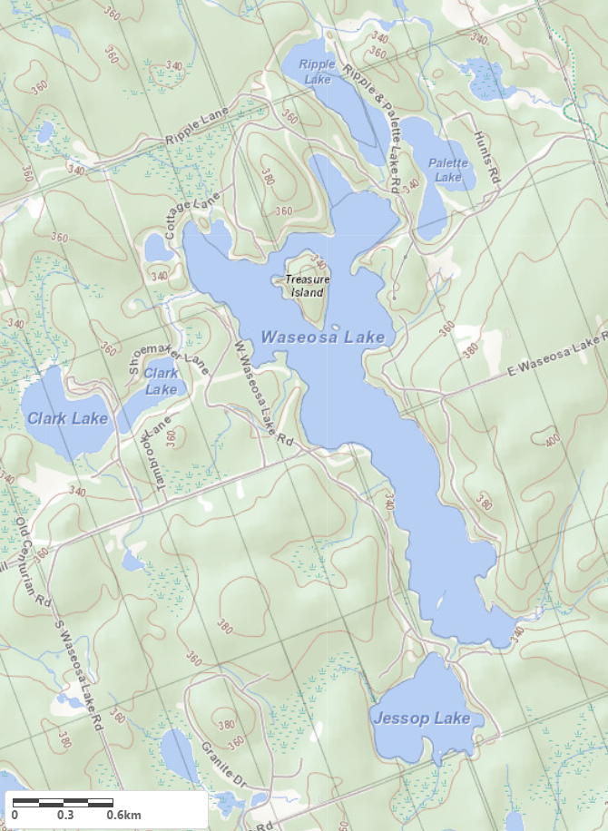 Topographical Map of Waseosa Lake in Municipality of Huntsville and the District of Muskoka