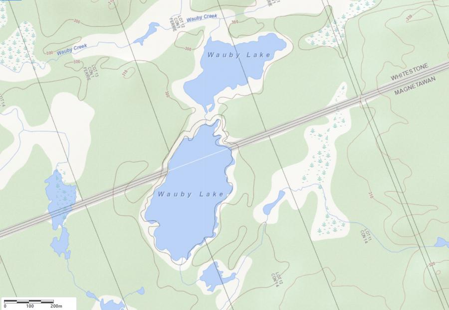 Topographical Map of Wauby Lake in Municipality of Whitestone and the District of Parry Sound