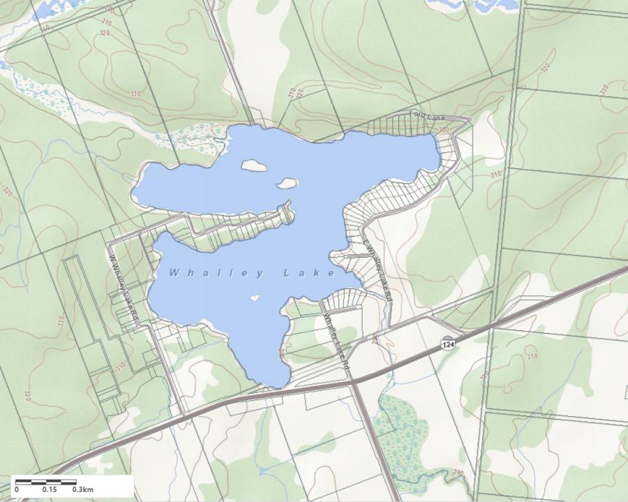Topographical Map of Whalley Lake in Municipality of Magnetawan and the District of Parry Sound