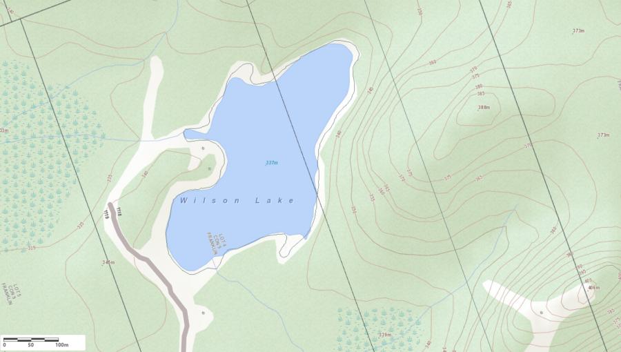 Topographical Map of Wilson Lake in Municipality of Lake of Bays and the District of Muskoka