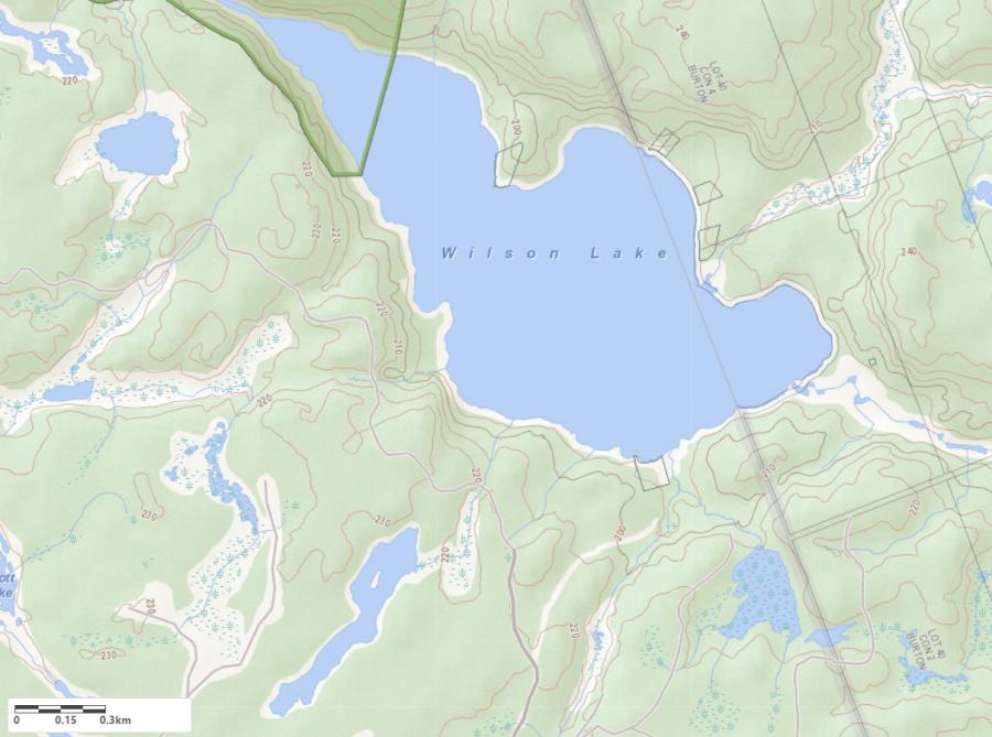 Topographical Map of Wilson Lake in Municipality of Whitestone and the District of Parry Sound