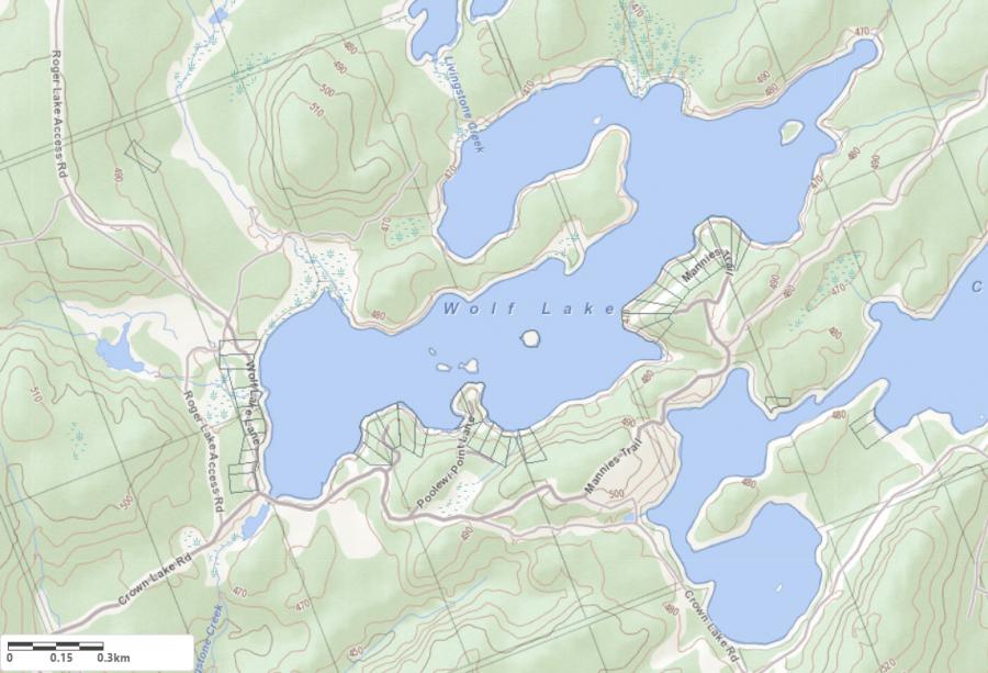 Topographical Map of Wolf Lake in Municipality of Algonquin Highlands and the District of Haliburton
